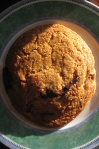 IMG_2273_edited-1