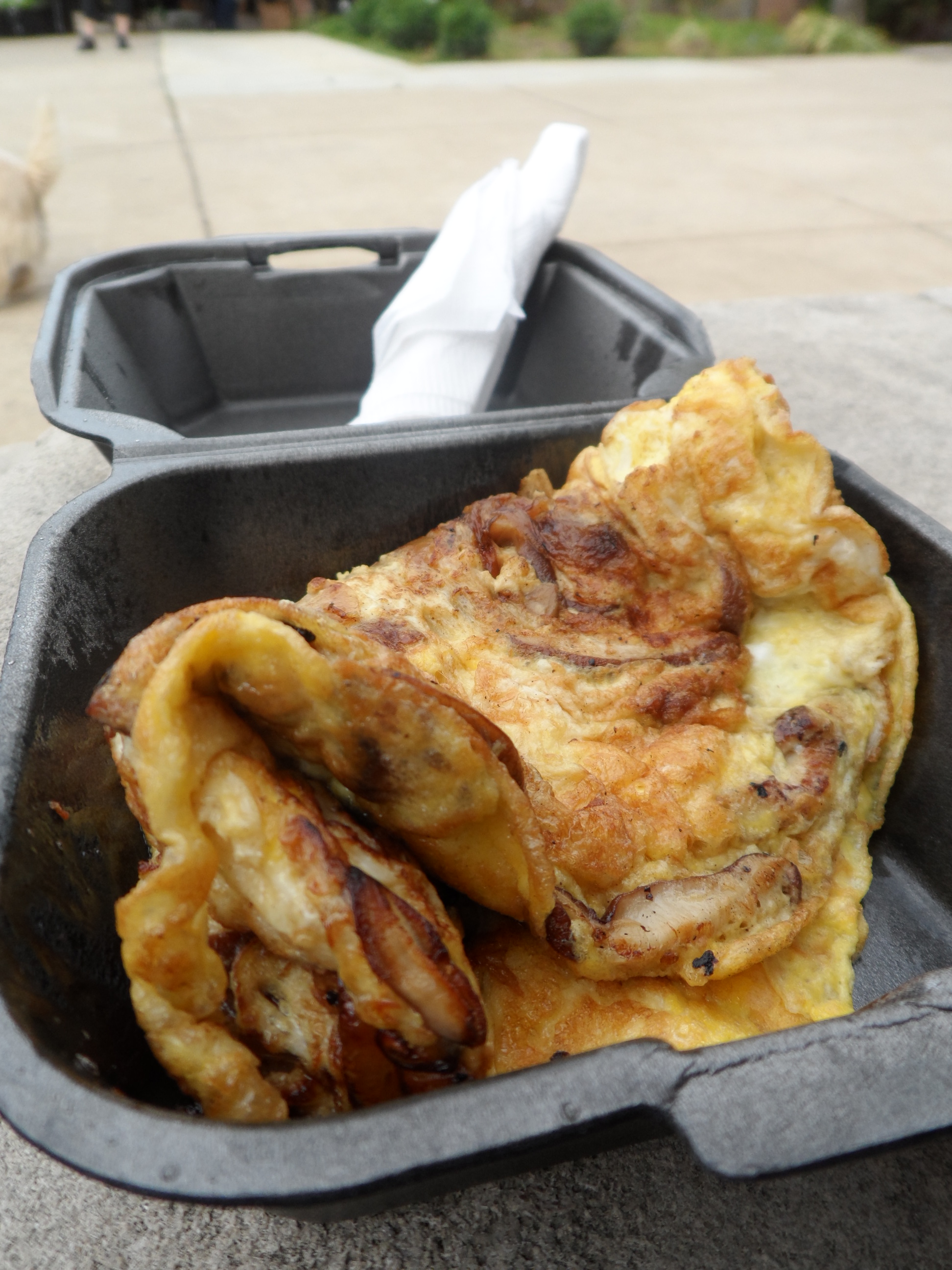 The Dish: The Southern Gourmasian’s Omelet
