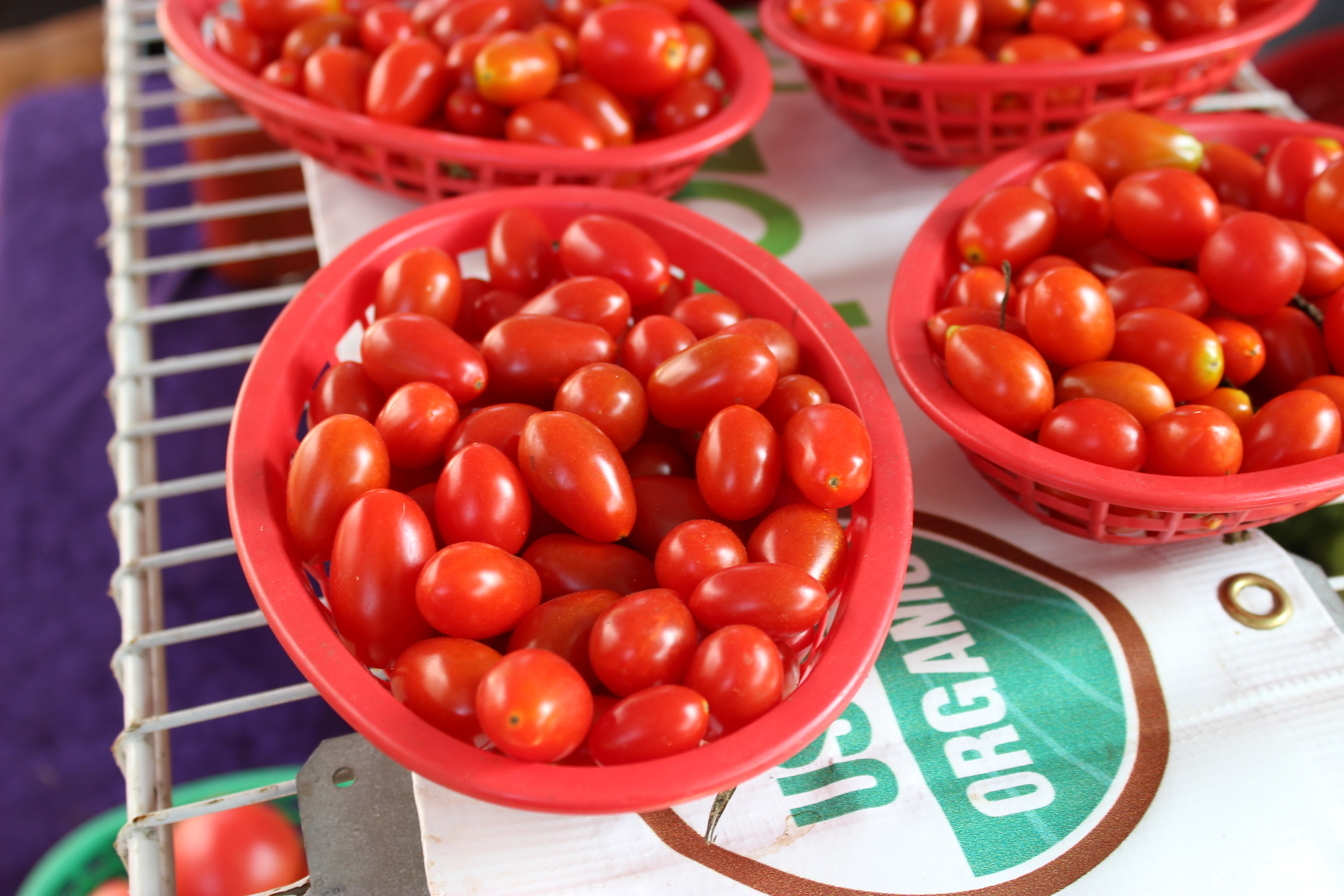 Stopping by the Hillcrest Farmers Market