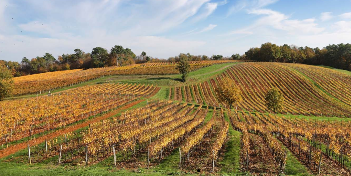 Domaine de Cause Lalande Cavagnac Cahors 2015, France